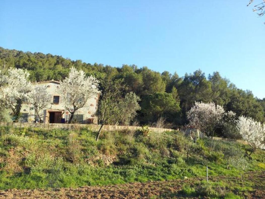 Agroturismo Masia Sunyer