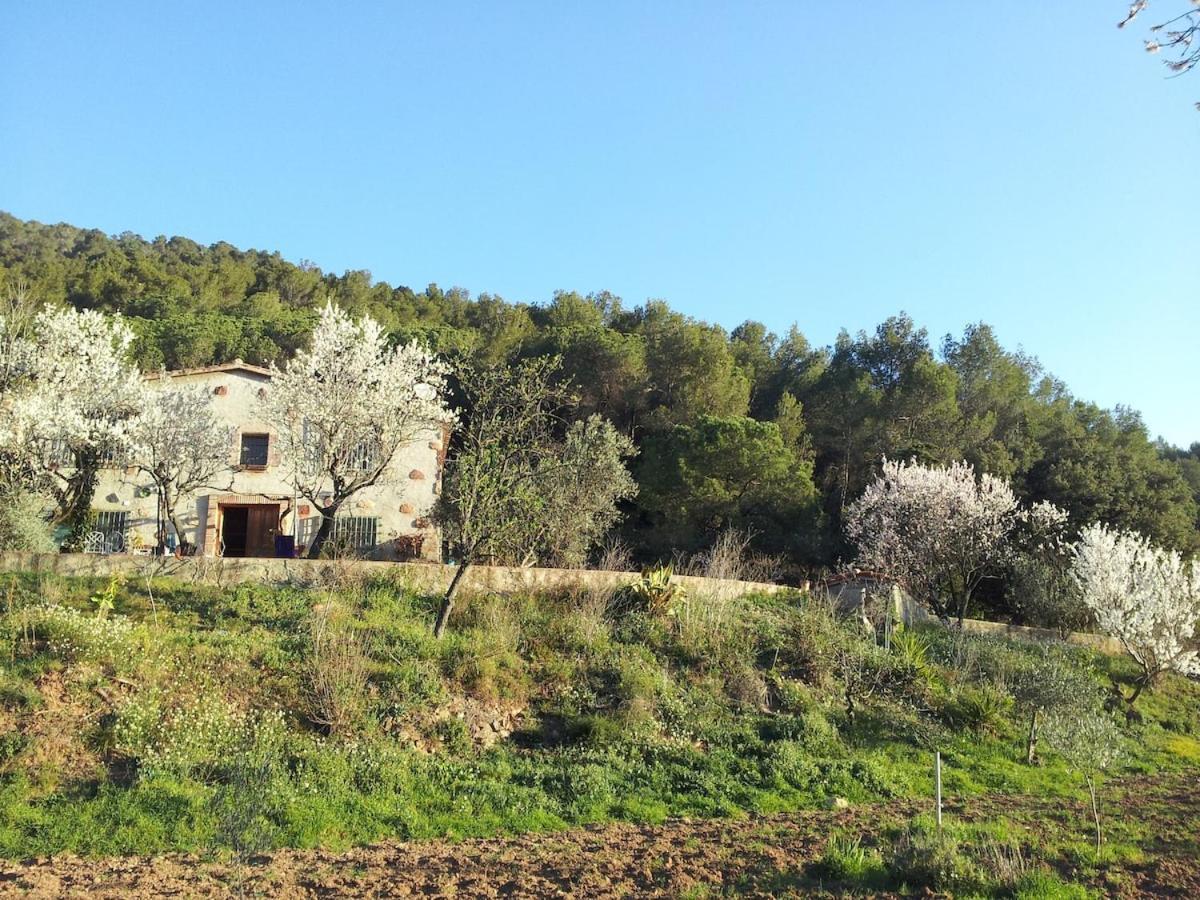 Agroturismo Masia Sunyer *